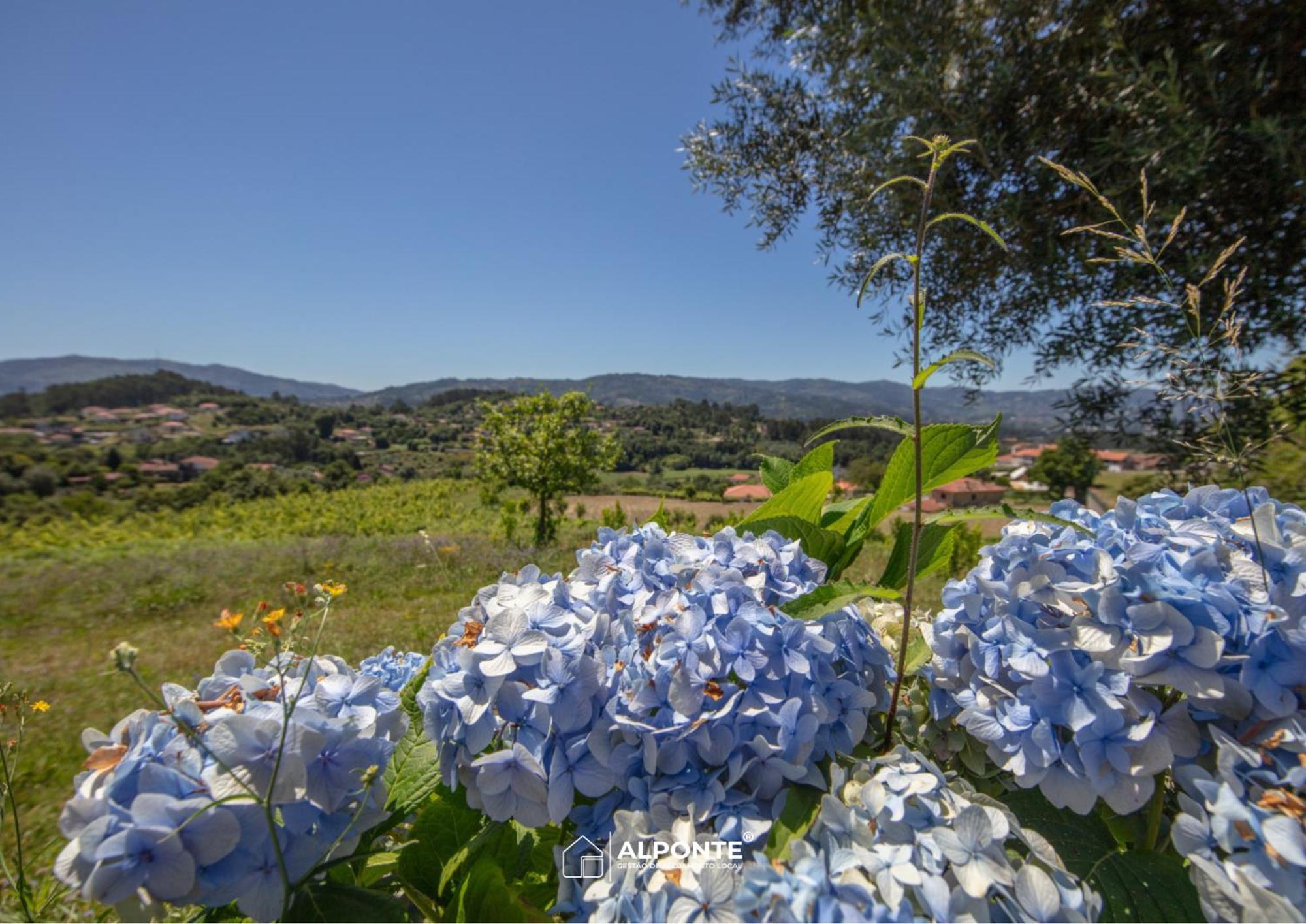הוילה ארקוס דה ואלדבז Quinta Da Costeira - Casa Azul Do Limoal By Alponte מראה חיצוני תמונה