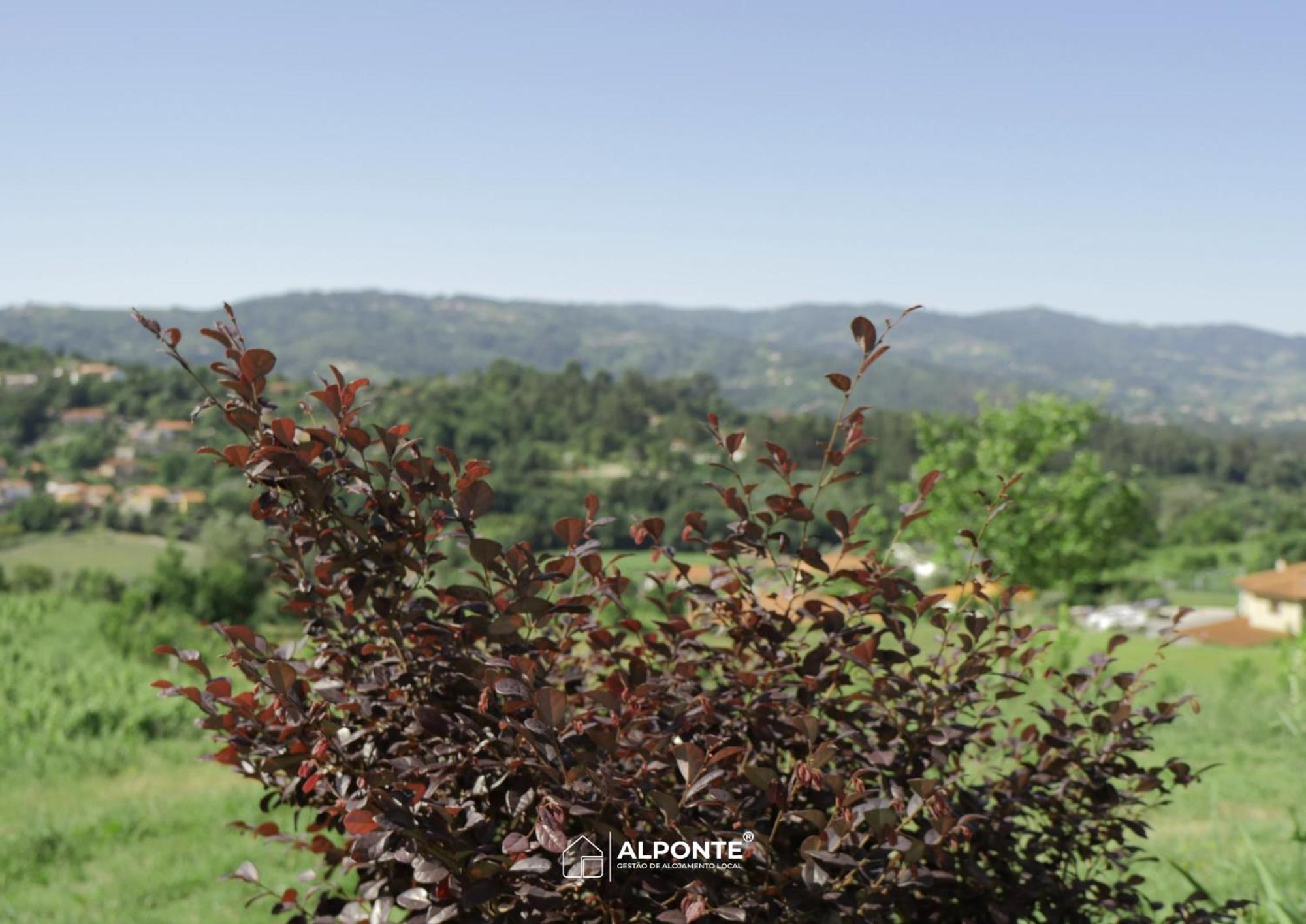 הוילה ארקוס דה ואלדבז Quinta Da Costeira - Casa Azul Do Limoal By Alponte מראה חיצוני תמונה