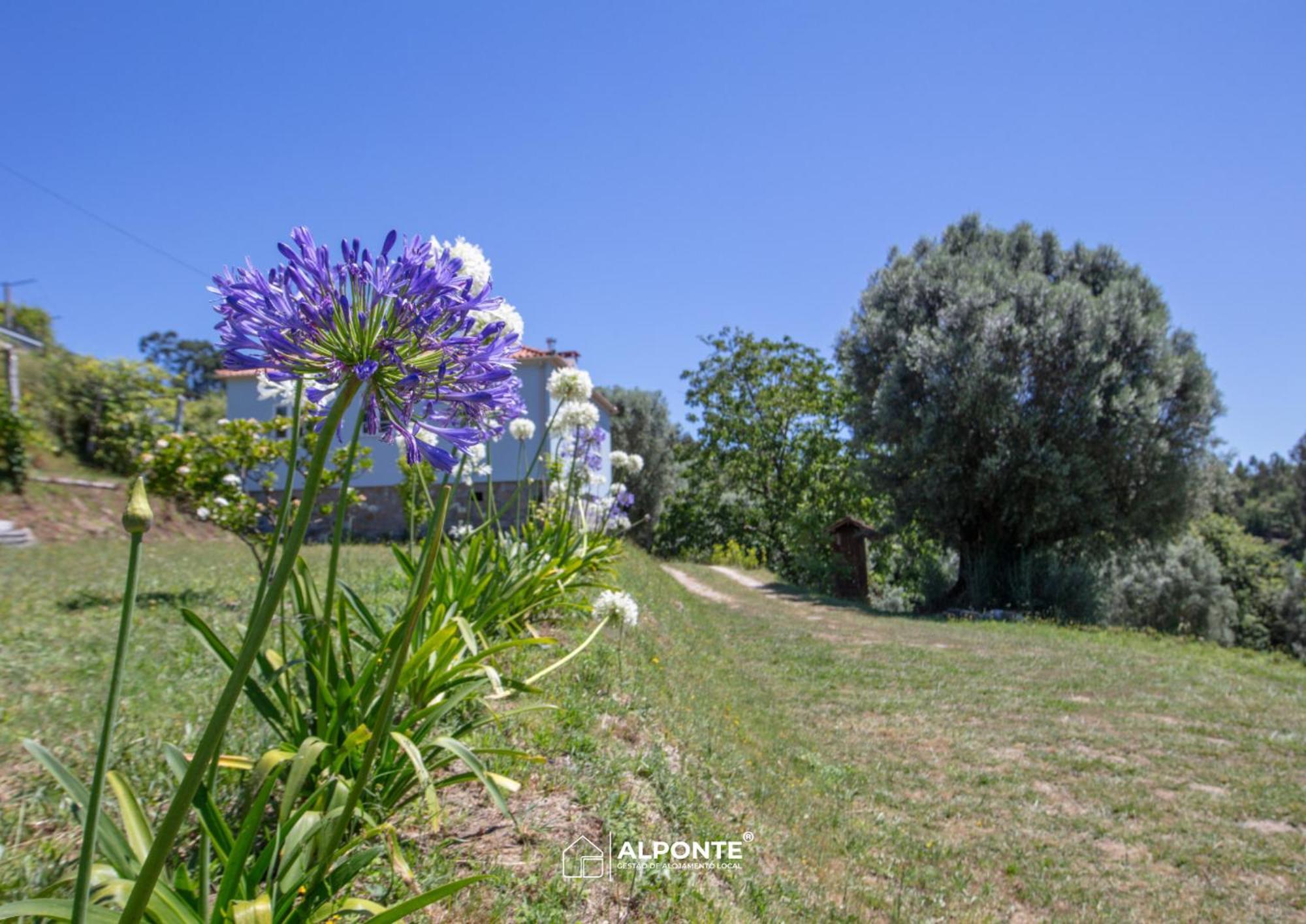 הוילה ארקוס דה ואלדבז Quinta Da Costeira - Casa Azul Do Limoal By Alponte מראה חיצוני תמונה