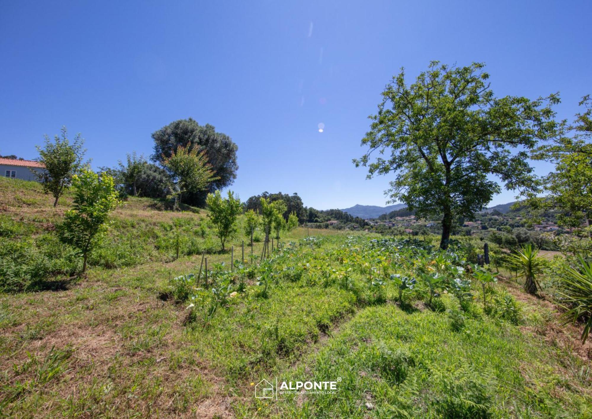 הוילה ארקוס דה ואלדבז Quinta Da Costeira - Casa Azul Do Limoal By Alponte מראה חיצוני תמונה