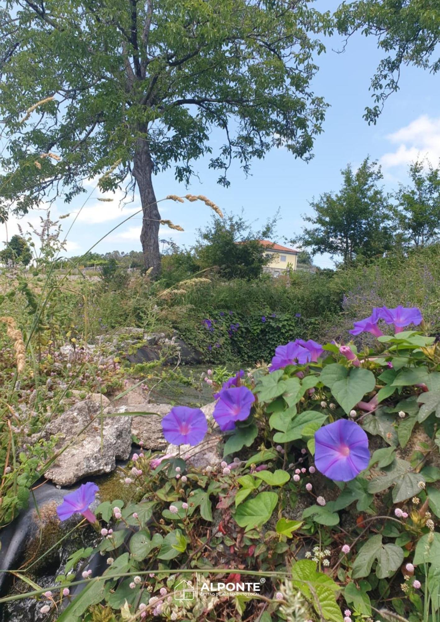 הוילה ארקוס דה ואלדבז Quinta Da Costeira - Casa Azul Do Limoal By Alponte מראה חיצוני תמונה