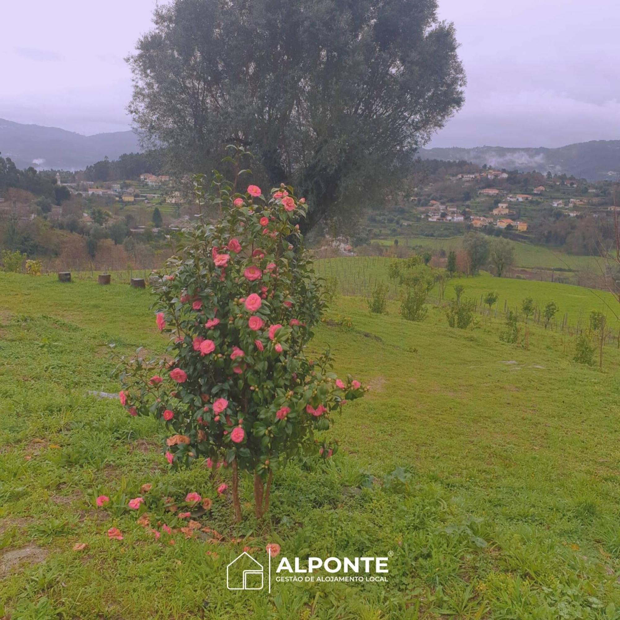 הוילה ארקוס דה ואלדבז Quinta Da Costeira - Casa Azul Do Limoal By Alponte מראה חיצוני תמונה